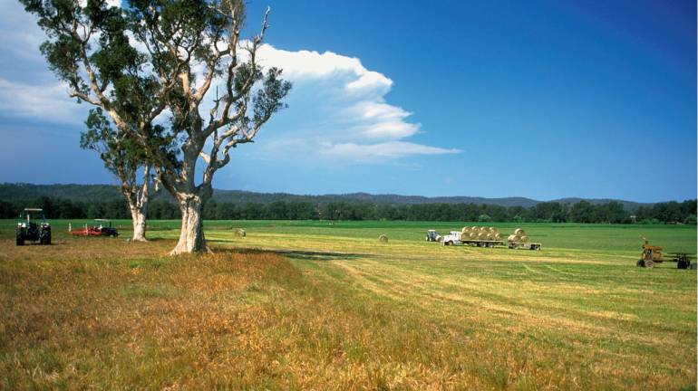 Agricultural Land